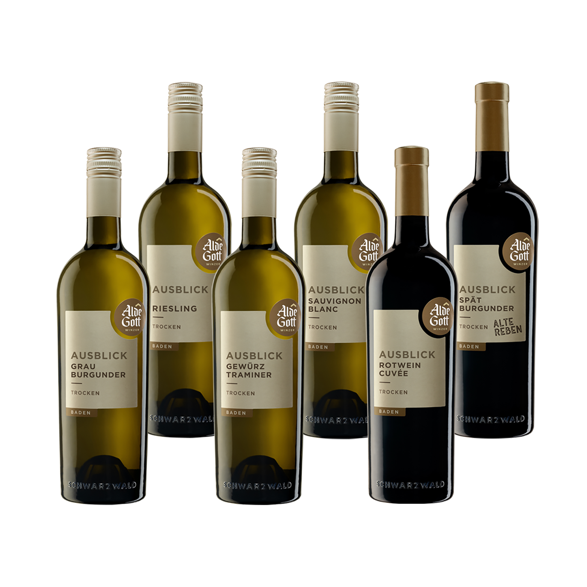 Entdecker-Paket "AUSBLICK"