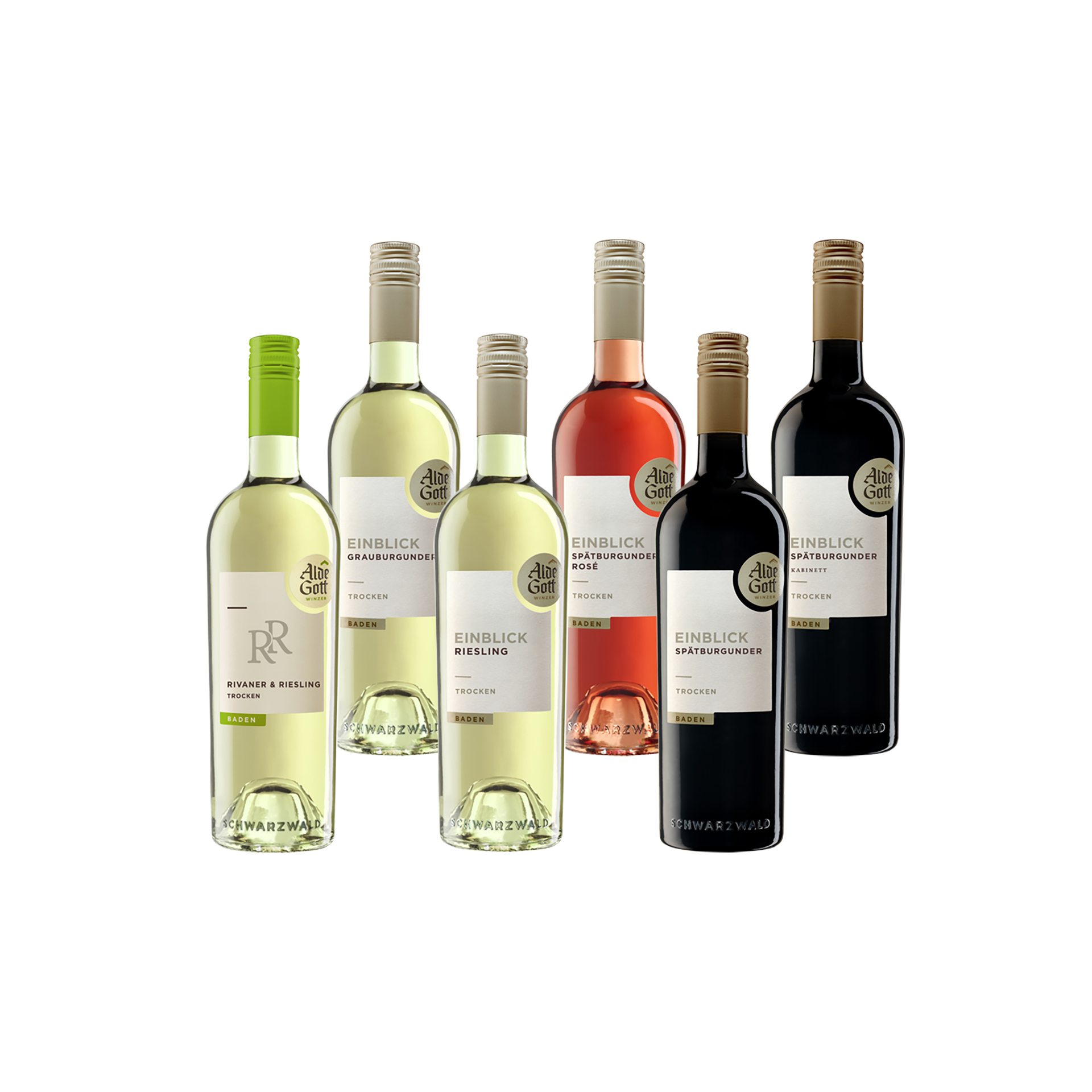 Entdecker-Paket "EINBLICK trocken"